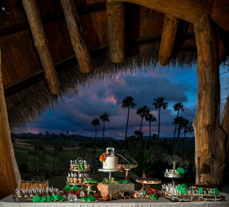 MUST TRY wedding recipe: Sweet Cheeks Baking Co. & San Diego Safari Park