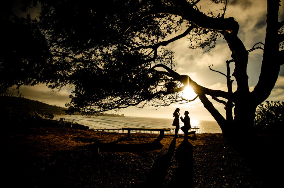 Four tips on capturing the perfect proposal