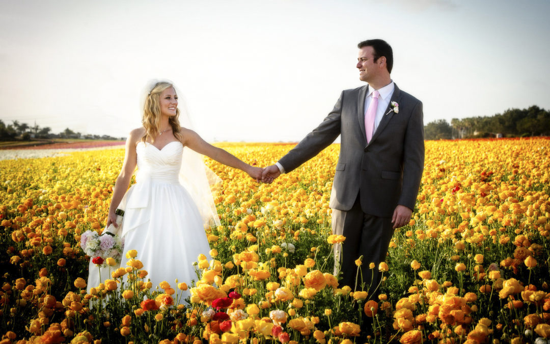 Thank you, my amazing clients – Three-Time Couples’ Choice Award Winner!